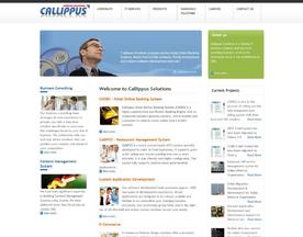 Callippus Solutions
