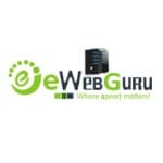Web hosting India logo