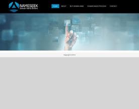 NameSeek logo