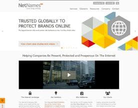 NetNames logo