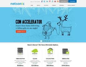 NetSonic logo