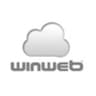 WinWeb logo