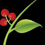 HIOX INDIA logo