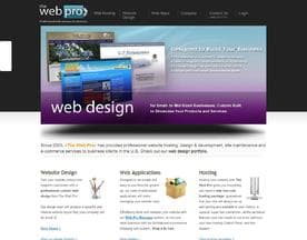 The Web Pro logo