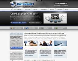 Texas DataVault, LLC logo