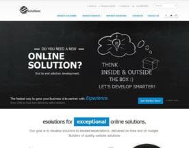 eSolutions logo