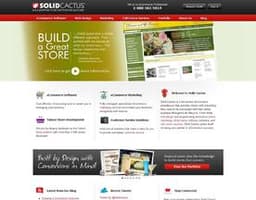 Solid Cactus logo
