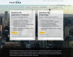 Flexera Software logo