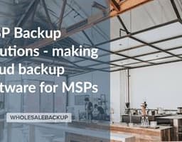 WholesaleBackup logo
