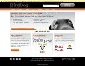 BirdDog Software logo