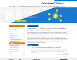 Perfect Image logo