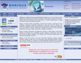 Bhrigus logo