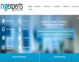 NG Experts logo