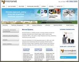 Micronet Systems logo