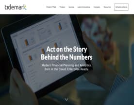 Tidemark Systems logo
