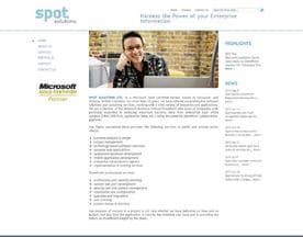 Spot Solutions logo