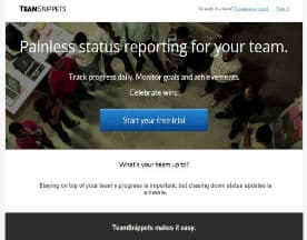 TeamSnippets logo