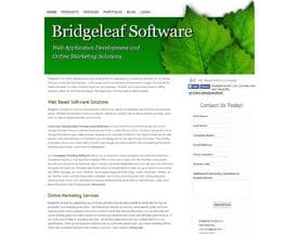 Bridgeleaf Software logo