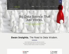 Swan Insights logo