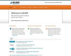 Bumi logo
