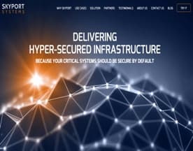 Skyport Systems logo