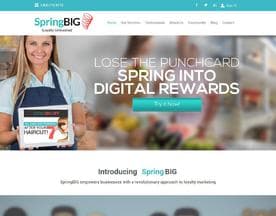 SpringBIG logo