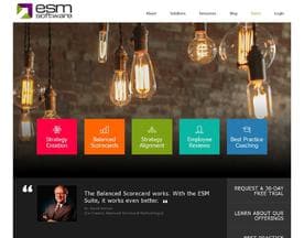 ESM Software logo