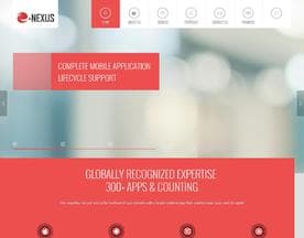 E-Nexus Solutions logo