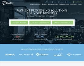 Blue Pay logo