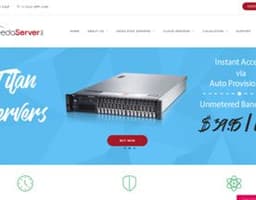 NeedaServer logo