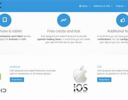 Internet Business Company logo