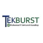 TekBurst logo
