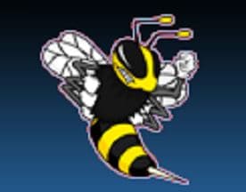 MadBeeTech Web Hosting logo