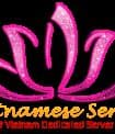 Vietnameserver logo