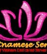 Vietnameserver logo