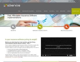 Silvervine Software logo