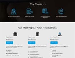 Adult Web Host 1 logo