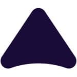 Salonist logo