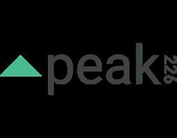 Peak DSP (by Edge 226) logo