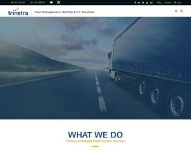 Trinetra Wireless logo