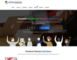 Nayra Themes logo
