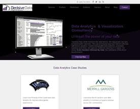 Decisive Data logo