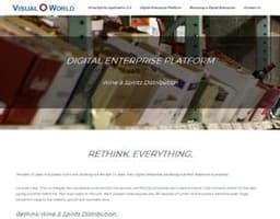 Visual World logo