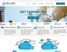 CallWise logo