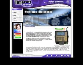 Timesoft logo