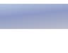 Sibyl Surveys logo