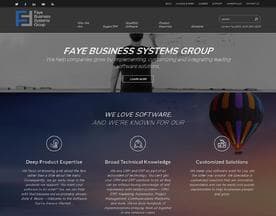 Faye Business Systems Group logo
