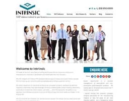 Intrinsic Software logo
