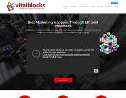 Vitalblocks logo