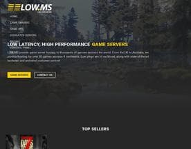 Low ms logo